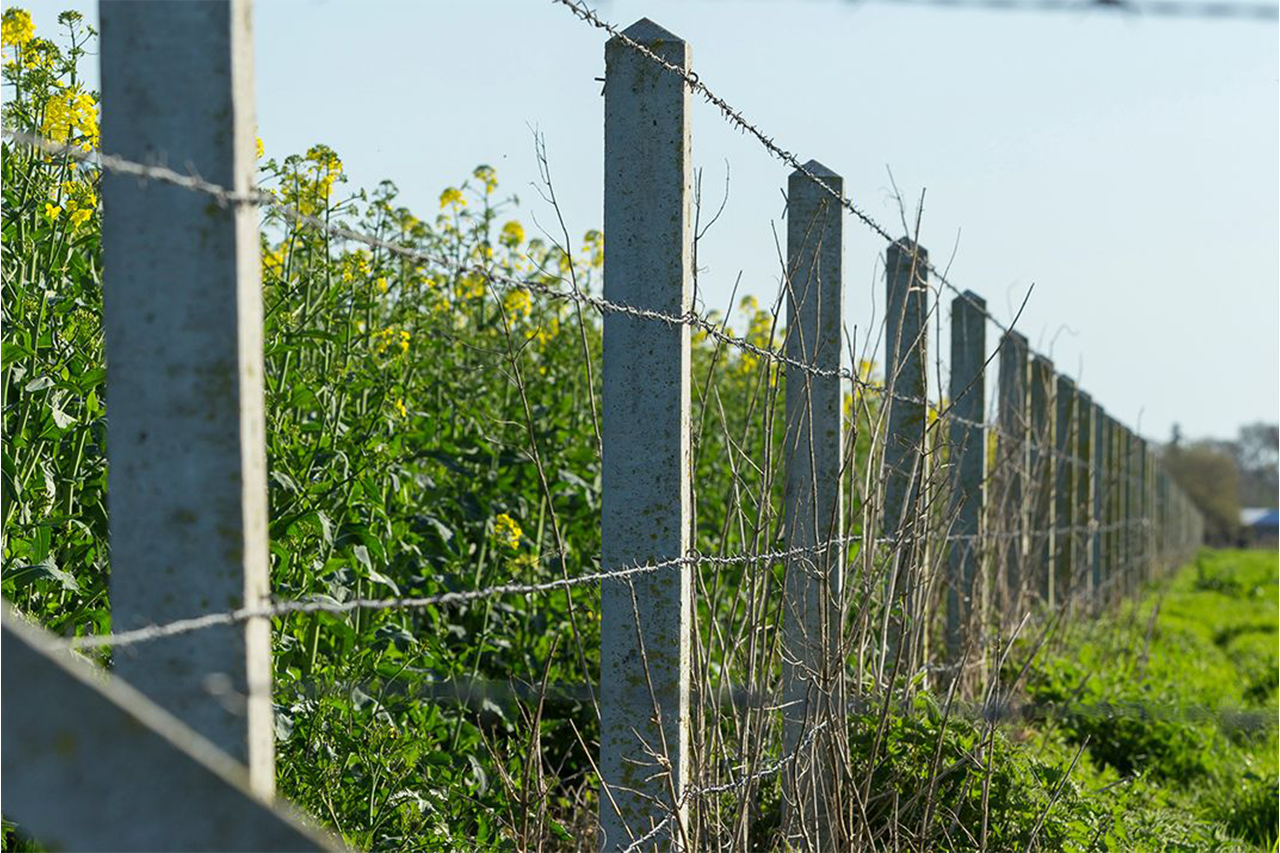 Clôture agricole 